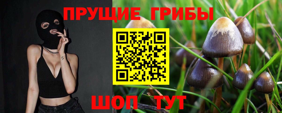 Псилоцибиновые грибы MAGIC MUSHROOMS  Вход с VPN  Острогожск 